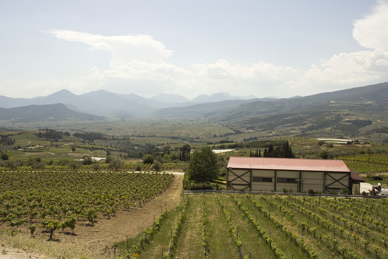 Η Σοφία της Φύσης