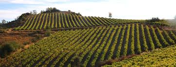 ΔΕΛΤΙΟ ΤΥΠΟΥ