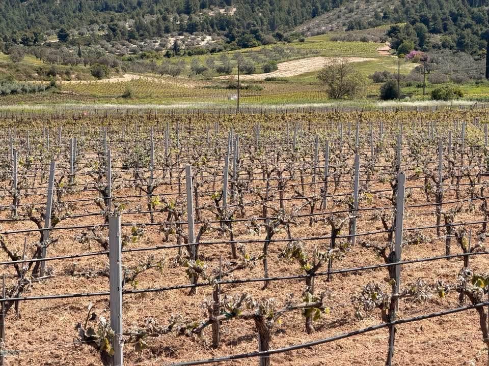 ΔΕΛΤΙΟ ΤΥΠΟΥ